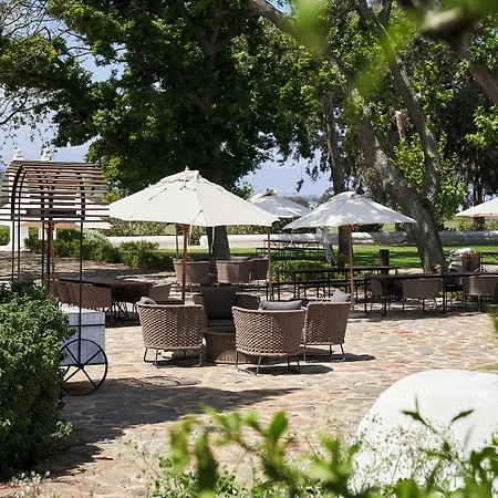 Vergenoegd Loew Boutique Hotel & Spa-3